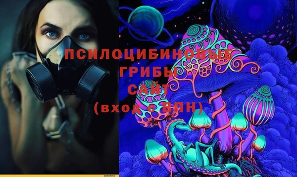 дживик Верея