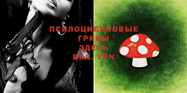мдпв Верхний Тагил