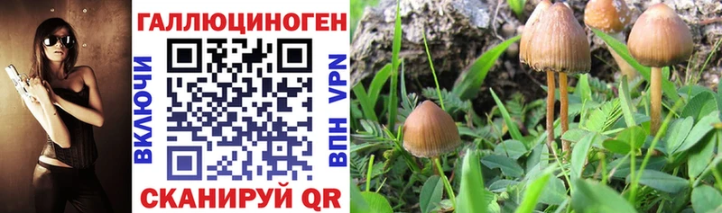 Псилоцибиновые грибы MAGIC MUSHROOMS  Оханск 